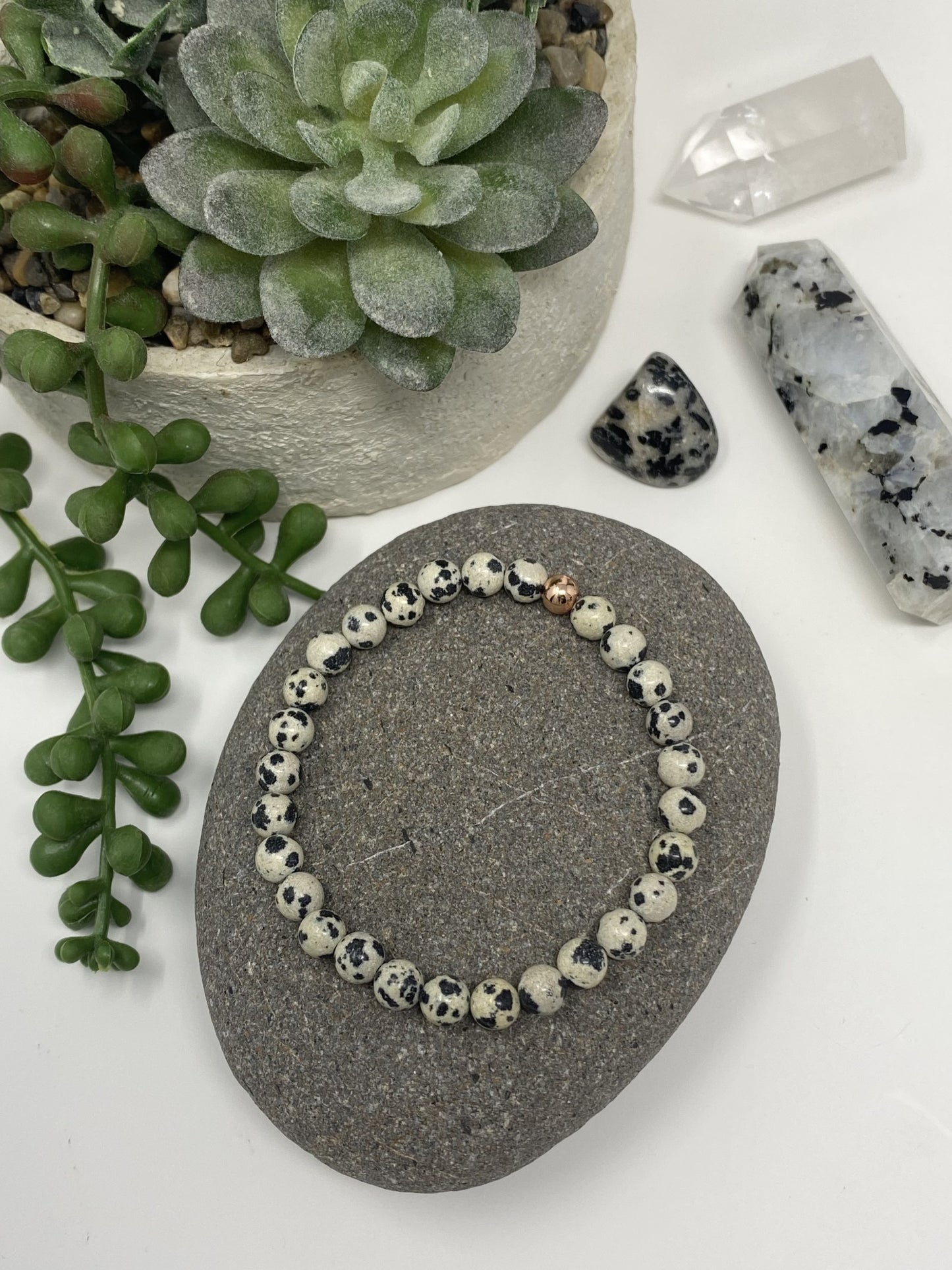 Dalmatian Jasper ~ Playful